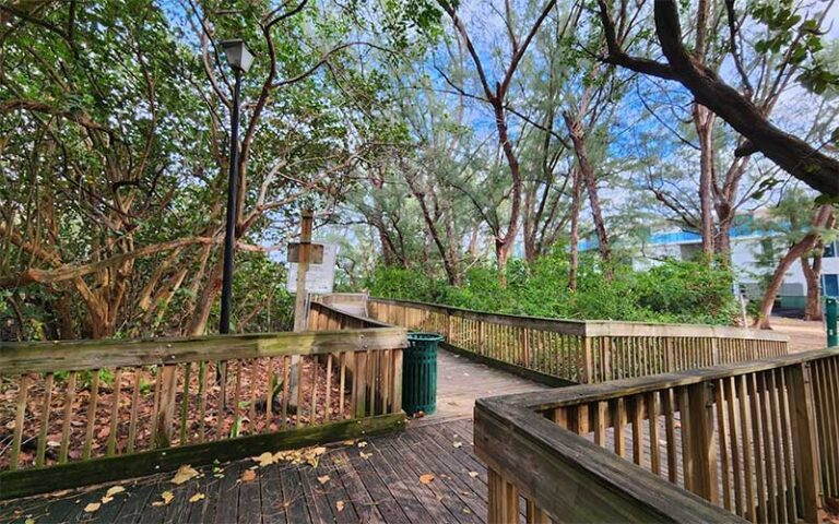 intersection of boardwalks under trees with streetlight at atlantic dunes park delray beach