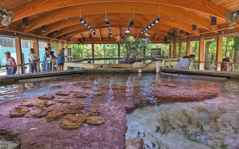 outdoor covered pavilion with touch tanks marine life at gumbo limbo nature center boca raton