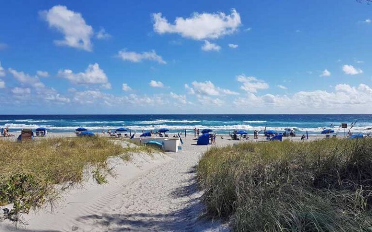 path between dunes and grass to beach with blue chairs at atlantic dunes park delray beach