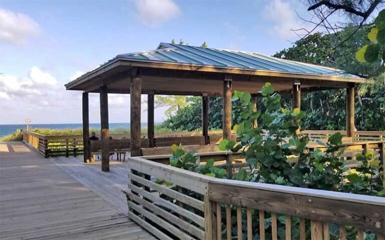 pavilion along boardwalk with sea grape trees and beach at atlantic dunes park delray beach