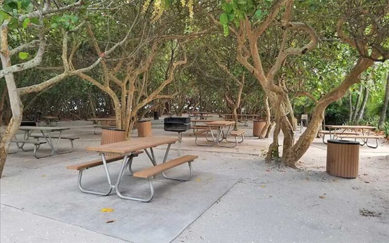 picnic tables and grills under shady seagrape trees at gulfstream park delray beach