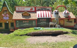 row of prop stores with play area and alligator at the girls strawberry u pick delray beach