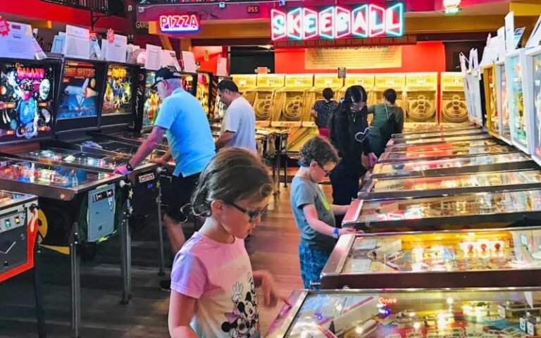 rows of pinball games with players at silverball retro arcade delray beach