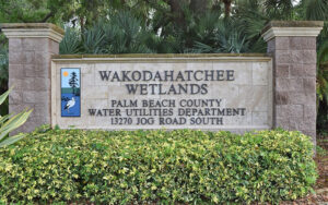 stone brick park sign with palms and hedge at wakodahatchee wetlands delray beach