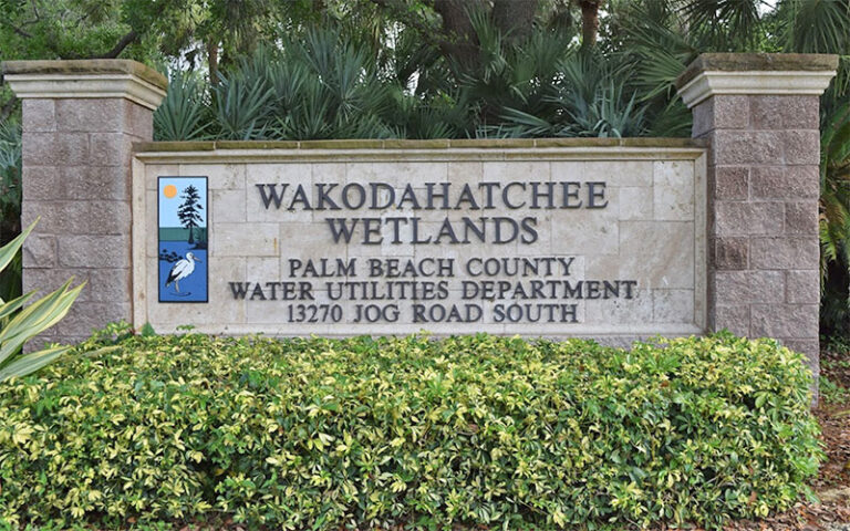 stone brick park sign with palms and hedge at wakodahatchee wetlands delray beach