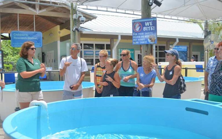 tour group outside of building standing around blue marine tanks at loggerhead marinelife center juno beach