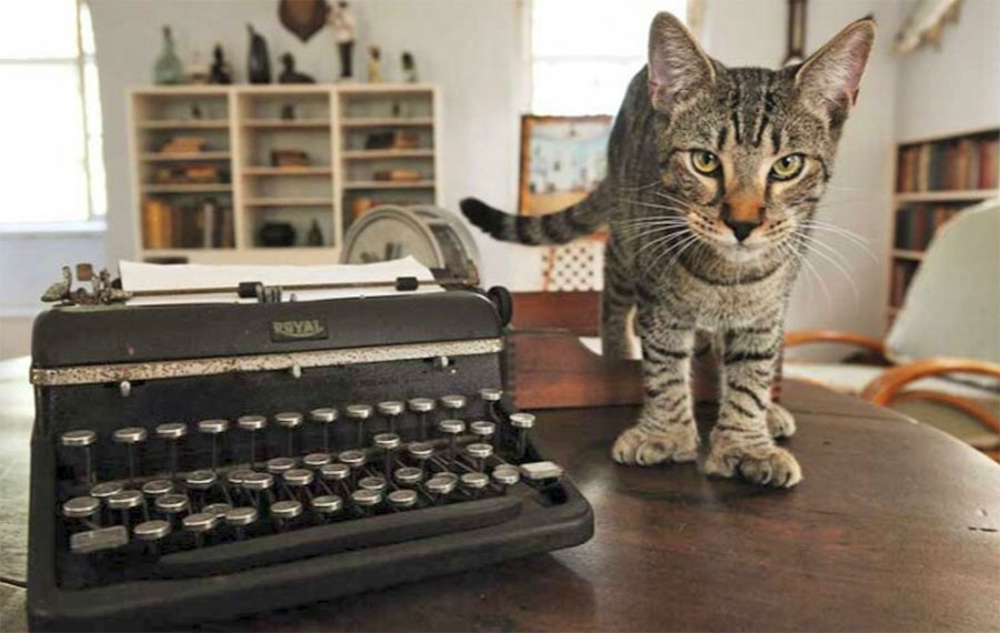 typewriter with polydactyl cat on desk in study room hemingway home museum key west