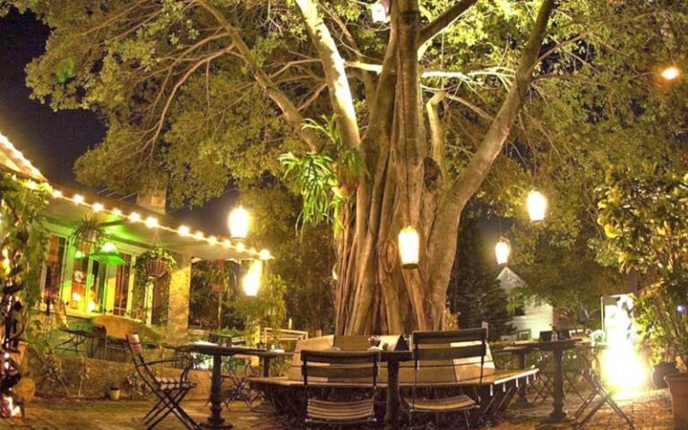 backyard patio dining with string lights and oak tree at dada delray beach