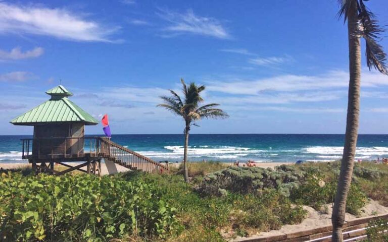 dunes and lifeguard shack along beach with palms at spanish river park boca raton