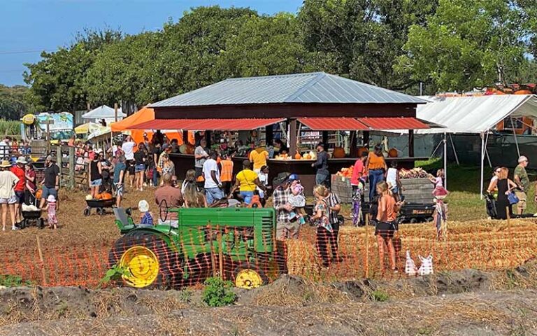 farm event with tractor and petting corral at bedners farm fresh market boynton delray beach