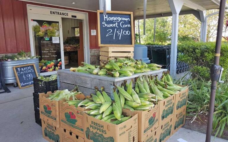 front porch area of market building with corn at bedners farm fresh market boynton delray beach