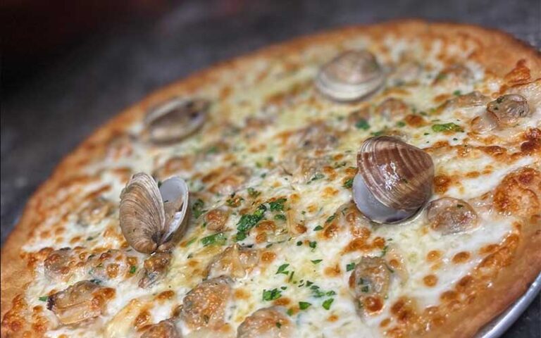 gourmet pizza with clams at wood fire delray beach