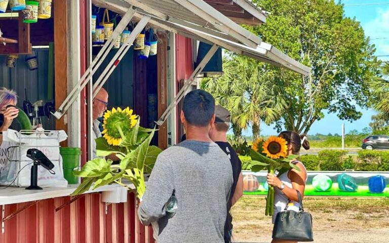 outdoor checkout window with people buying sunflowers at bedners farm fresh market boynton delray beach