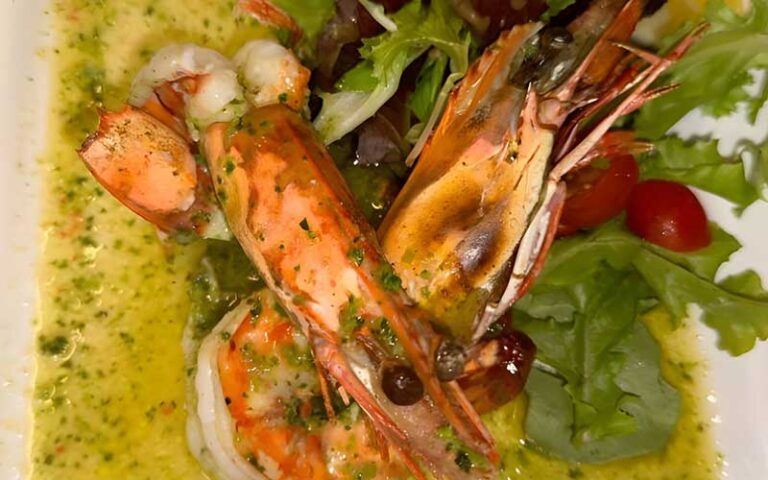 seafood entree with salad at le sorelle restaurant boca raton