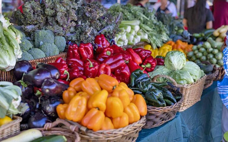 table full of vegetable produce baskets at delray beach greenmarket