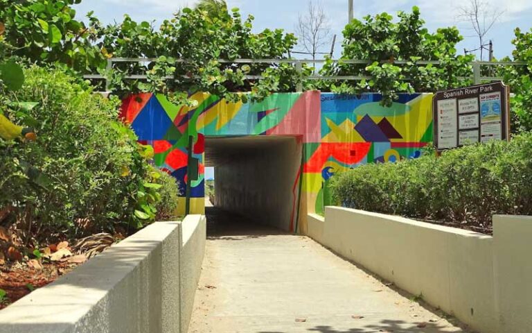 tunnel under road with art murals at spanish river park boca raton