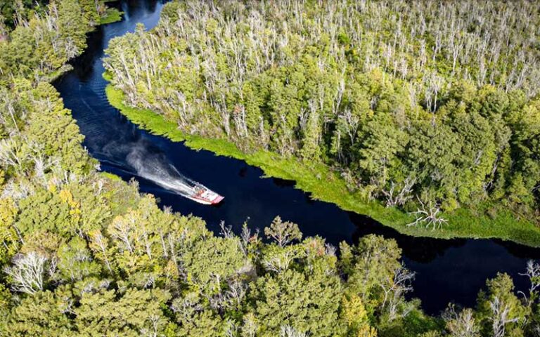 aerial view of airboat speeding along curved canal at tom jerrys airboat rides ocala orlando