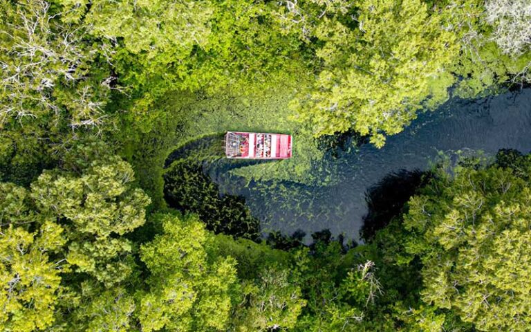 airboat viewed from above turning in wetland area at tom jerrys airboat rides ocala orlando