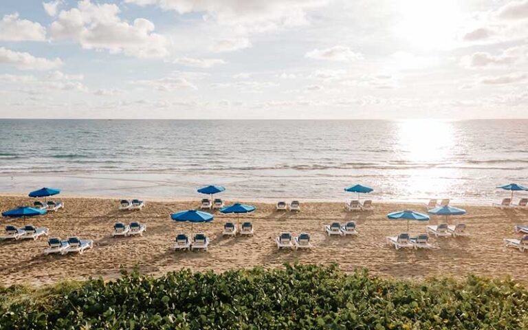 beach with blue loungers and umbrellas at the atlantic suites on the ave delray beach