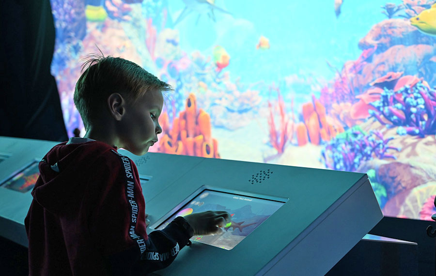 child interacting with aquarium exhibit display at loggerhead marinelife center juno beach delray