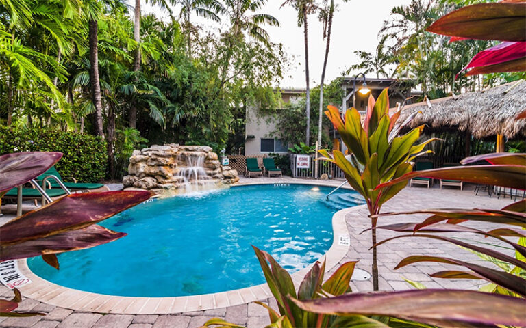 swimming pool with cascade among palms at cranes beach house boutique hotel luxury villas delray beach