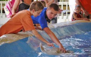 trainer showing young man how to touch stingray at gulf world marine park panama city beach