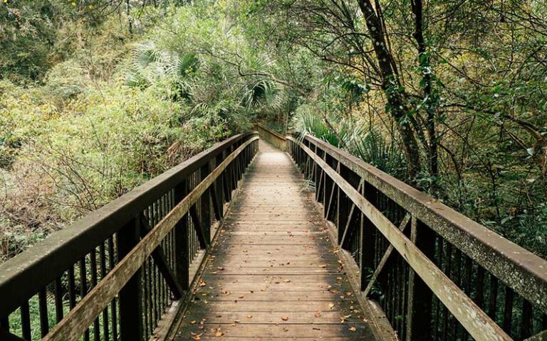 boardwalk bridge through wooded area at alfred a ring park gainesville