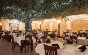 dining room with interior lighted oak tree at firefly panama city beach