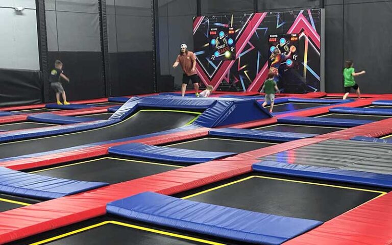 dodgeball area with trampoline grid at flip factory zone gainesville