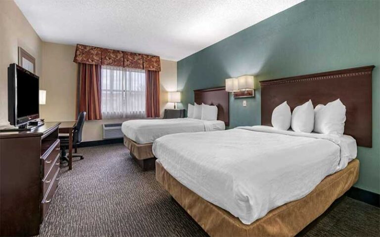 double bed guestroom at best western gateway grand gainesville