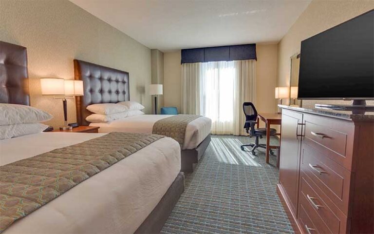 double bed suite with lighted window at drury inn suites gainesville