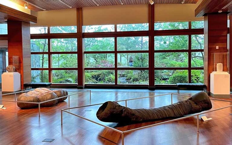 exhibit space with windows looking into garden at harn museum of art university of florida gainesville