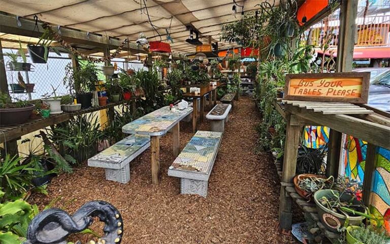 garden greenhouse dining area with plants at satchels pizza gainesville