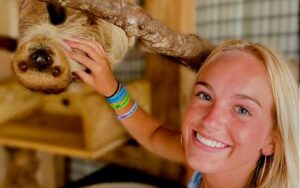 girl petting a sloth hanging upside down at zooworld zoological park panama city beach