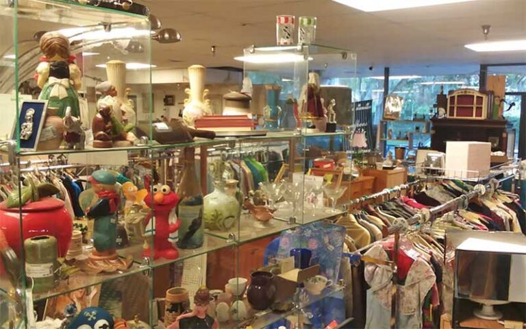 glass shelves with vintage items at flashbacks recycled fashions gainesville