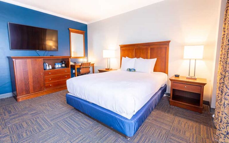 guest room with king bed at reitz union hotel gainesville