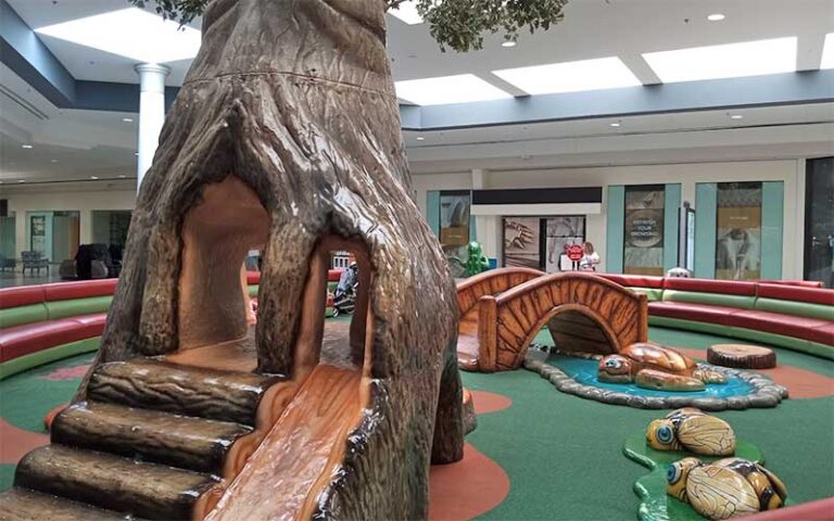 indoor kids play area with climbing tree at the oaks mall gainesville