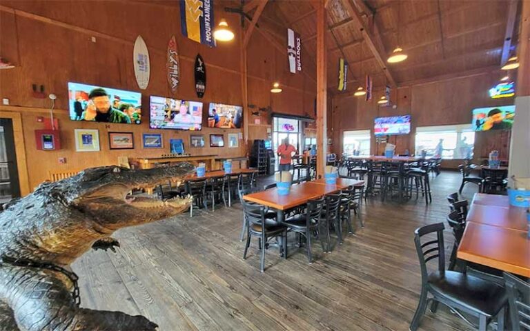 interior of restaurant with wood frame and gator at pineapple willys panama city beach