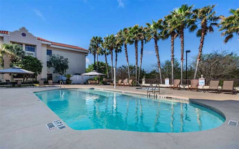 outdoor pool deck with palms at best western gateway grand gainesville