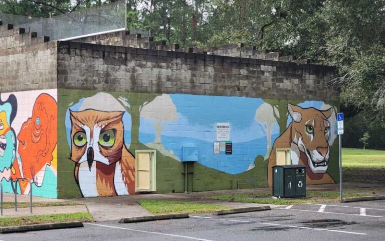 racquetball courts with graffiti at tom petty park gainesville