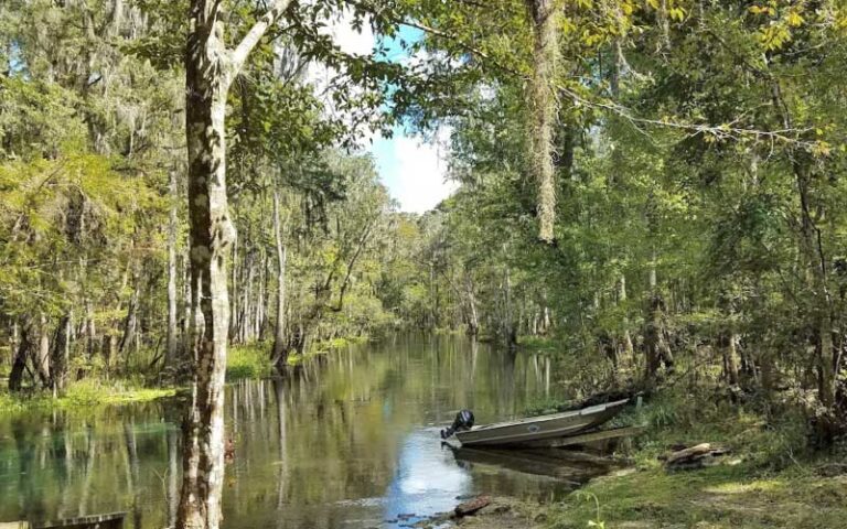 river in wooded area with motor boat on bank at ichetucknee springs state park gainesville