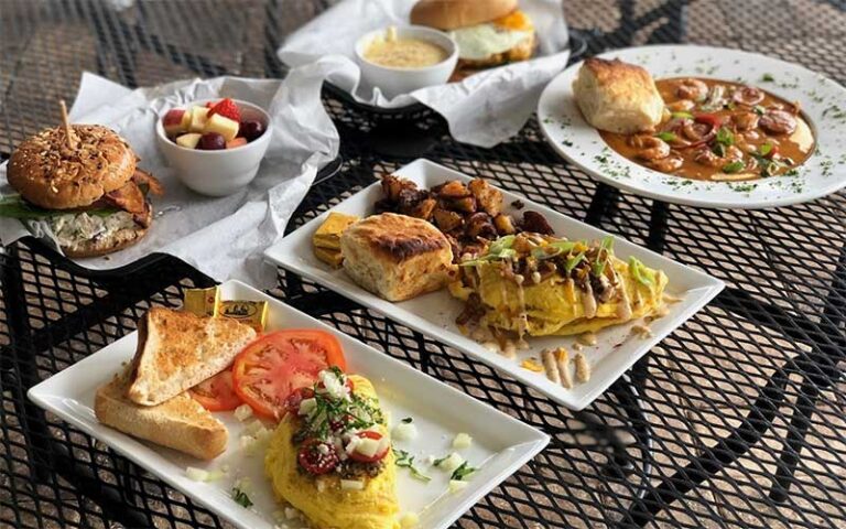 several entrees on outdoor table at one love cafe gainesville