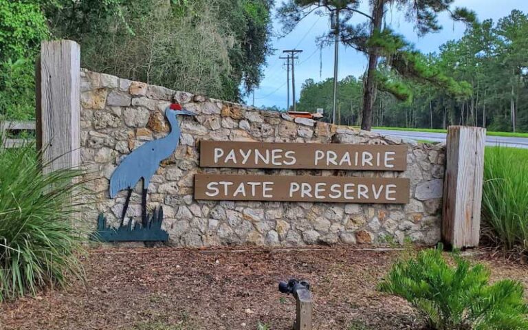 stone roadside park sign with painted heron at paynes prairie preserve state park gainesville