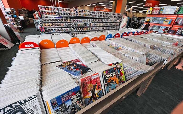 store interior with comic books shelves at 2nd charles gainesville