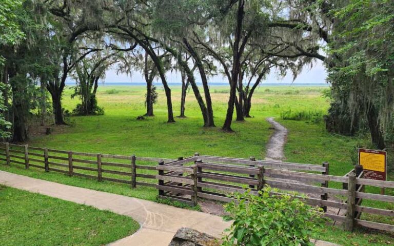 trail intersection leading onto plain area at paynes prairie preserve state park gainesville