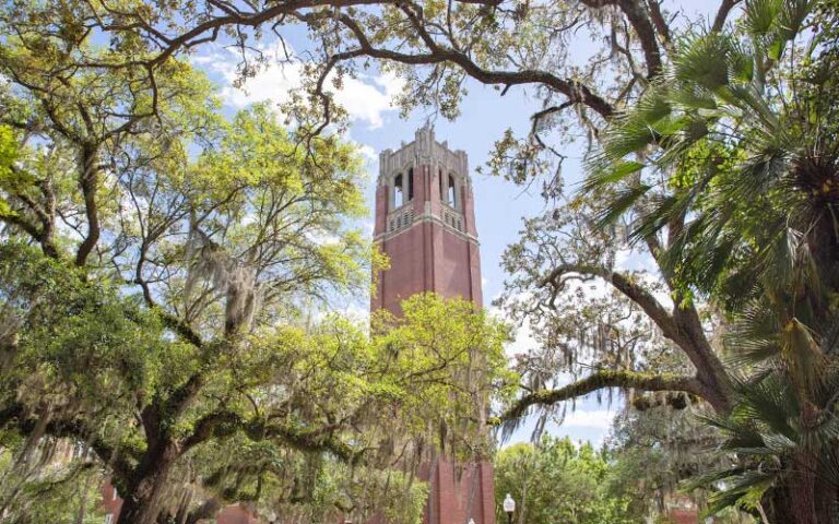 view from below of brick tower shrouded by trees at university of florida gainesville