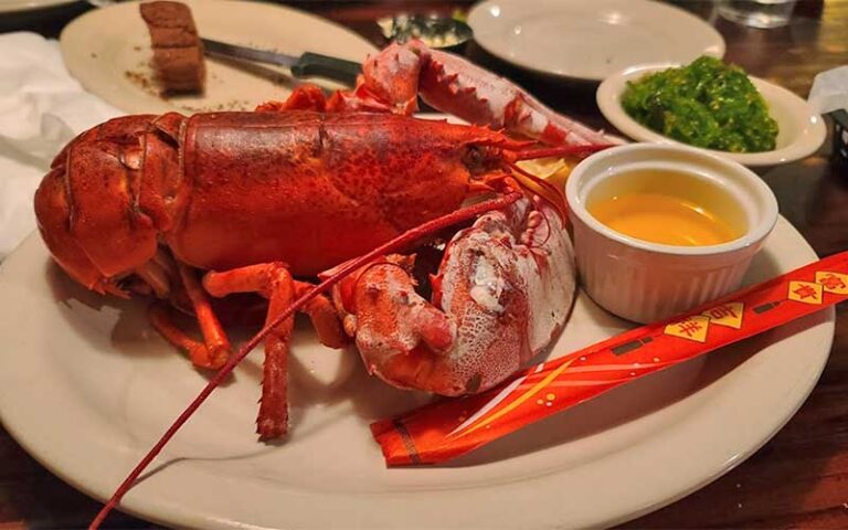 whole lobster with sauce at northwest grille gainesville