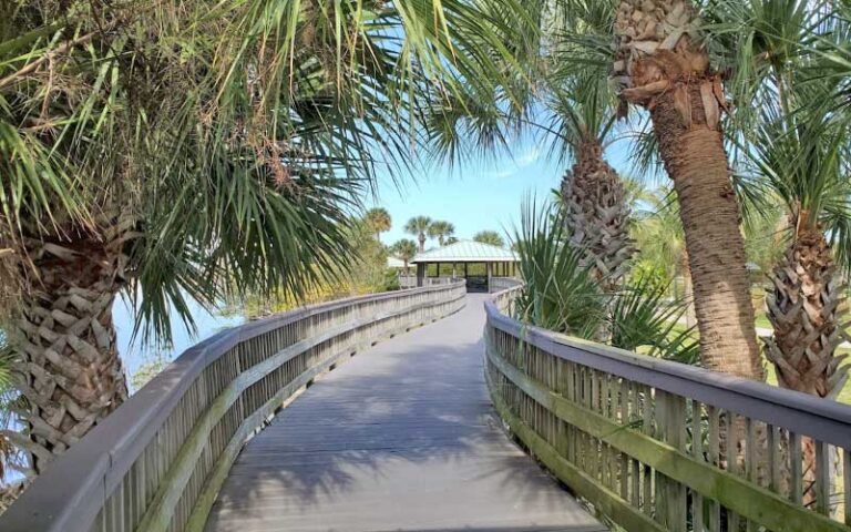 boardwalk between trees and water with pavilion at manatee sanctuary park cape canaveral