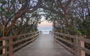 boardwalk over dunes with trees at canova beach park indialantic