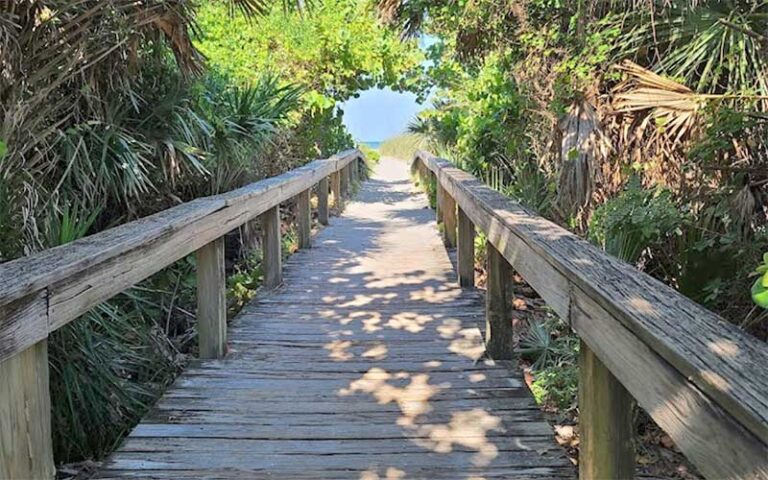 boardwalk through dense hammock to beach at lori wilson park cocoa beach